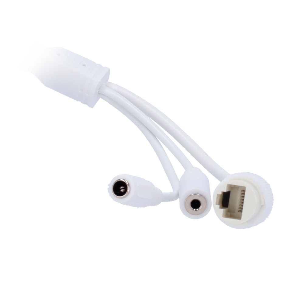 Safire Smart - Cámara Domo IP avanzada gama I1 - Resolución 8 Megapíxeles (3840x2160) - Lente motorizada 2,8-12 mm | Micrófono | IR 50m - IA avanzada: personas, vehículos y vehículos de dos ruedas - Resistente al agua IP67 | PoE (IEEE802.3af) |Alarma