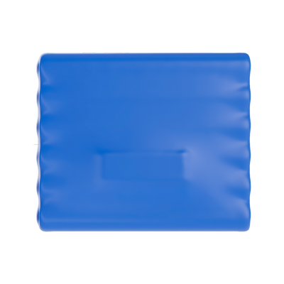 Batteria interna ricaricabile