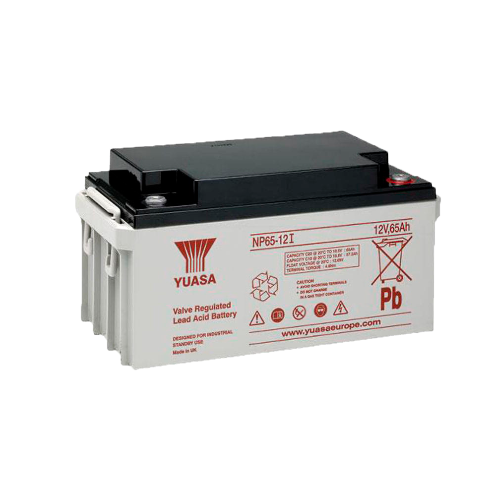 Yuasa NP65-12I - Batteria ricaricabile - Tecnologia piombo-acido AGM - Voltaggio 12 V / Capacità 65 Ah - 174 x 350 x 166 mm / 23 kg - Certificazione antincendio e di evacuazione