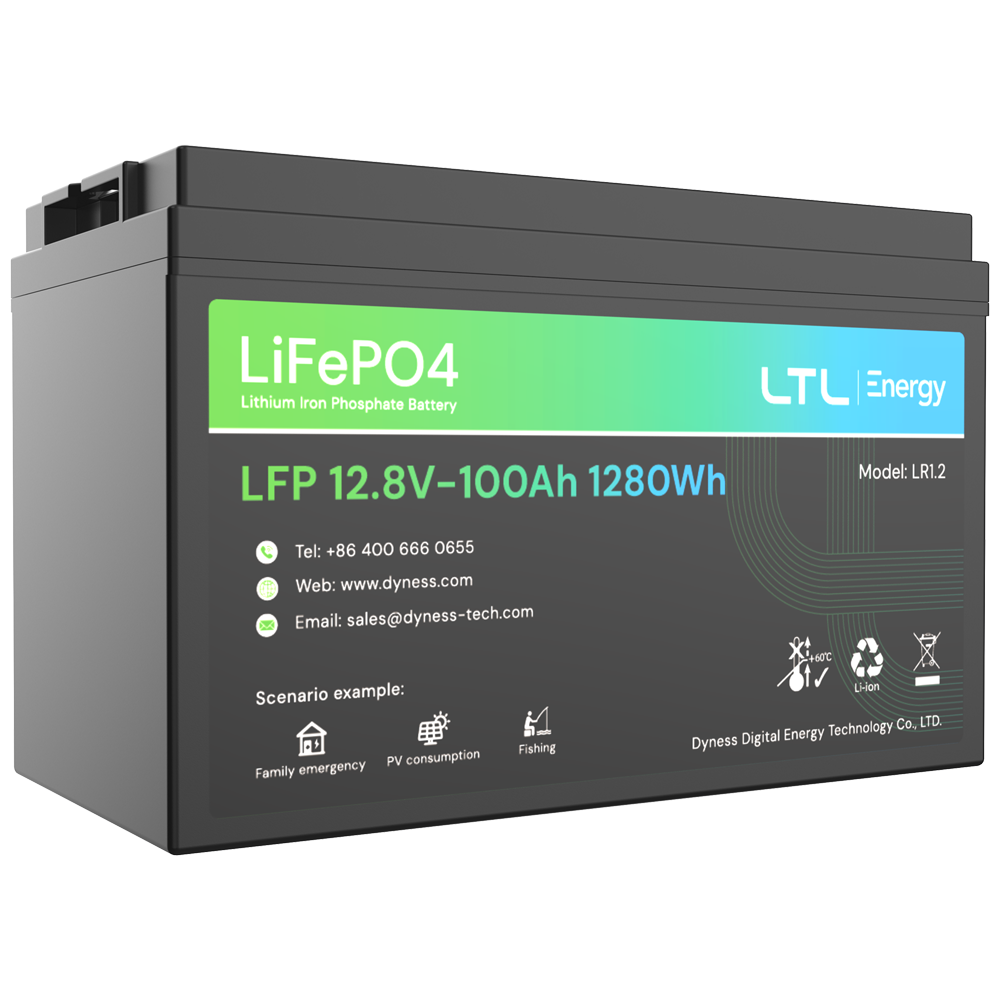 Batteria stazionaria - Capacità 1280Wh - LiFePO4 12V / 100Ah - 3000 cicli di vita - Fino a 16 unità in parallelo - IP 65