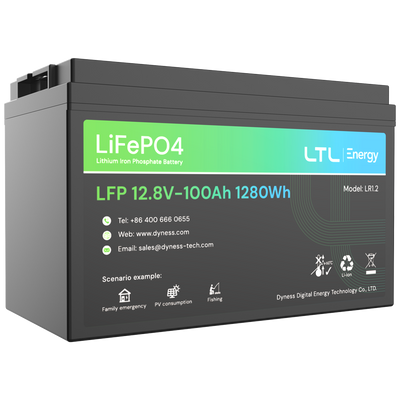 Batteria stazionaria - Capacità 1280Wh - LiFePO4 12V / 100Ah - 3000 cicli di vita - Fino a 16 unità in parallelo - IP 65