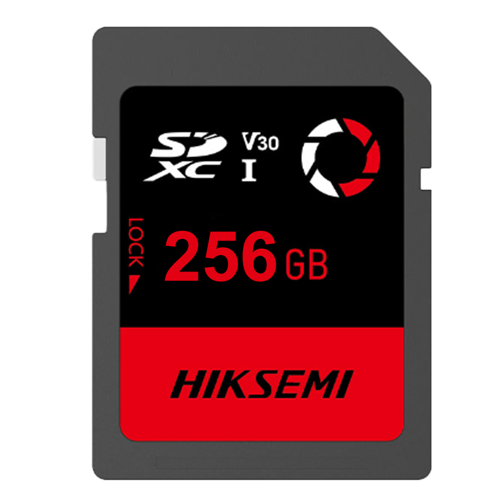 HS-SD-E30STD_256G_CAPTURE_W.png