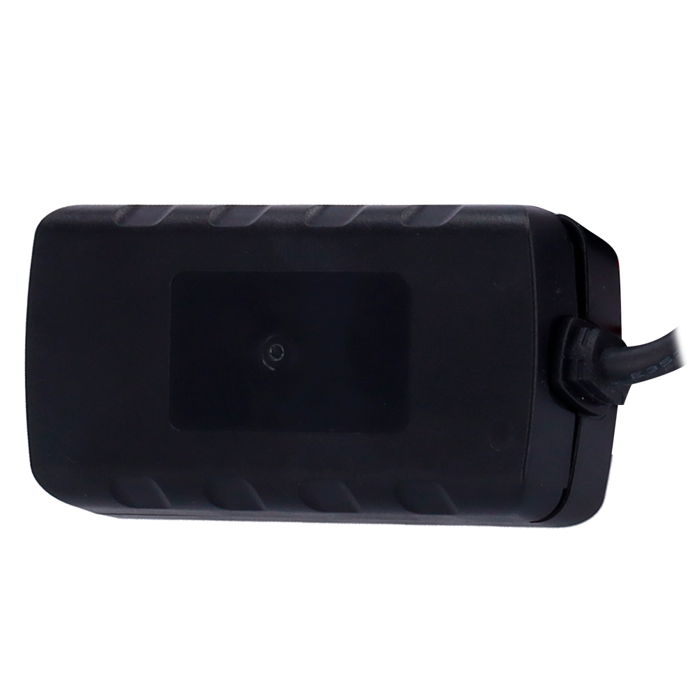 LTE Cat 1 con 2G di backup