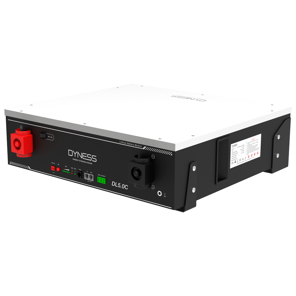 Batteria stazionaria - Capacità 5120Wh - LiFePO4 51.2V / 100Ah - 6000 cicli di vita - Fino a 50 unità in parallelo - Compatibile con la maggior parte degli inverter