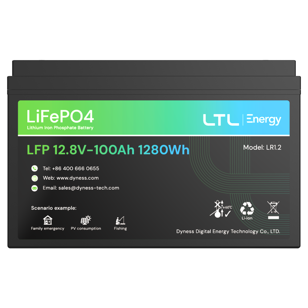 Batteria stazionaria - Capacità 1280Wh - LiFePO4 12V / 100Ah - 3000 cicli di vita - Fino a 16 unità in parallelo - IP 65