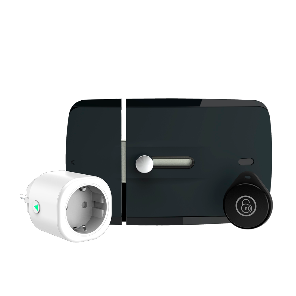 Chiavistello Smart WiFi Watchman Door - Installazione invisibile dall