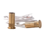 A-SS1.png