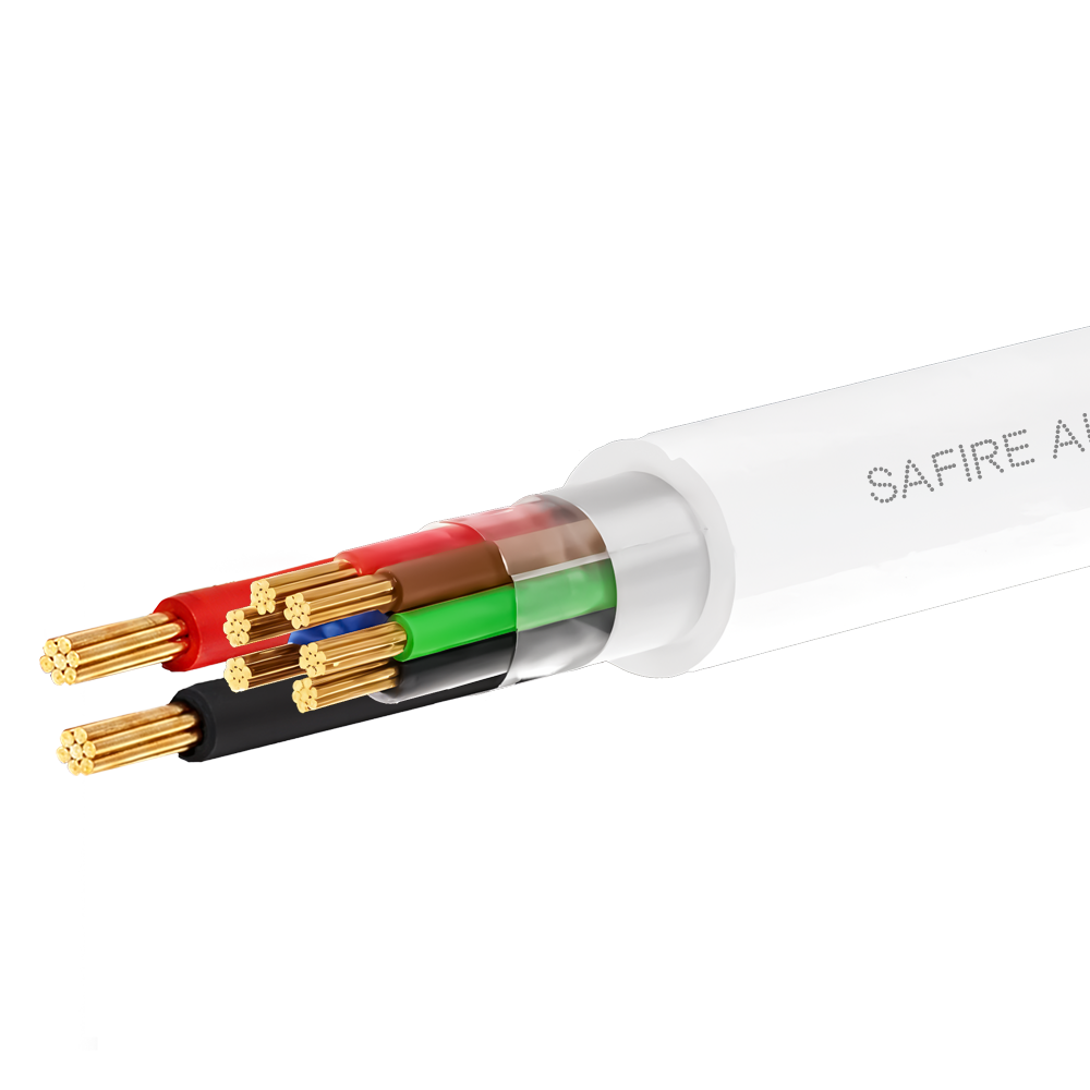 CA6P2-100-H-Cca-WHITE.png