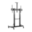 FT100TE-123.png
