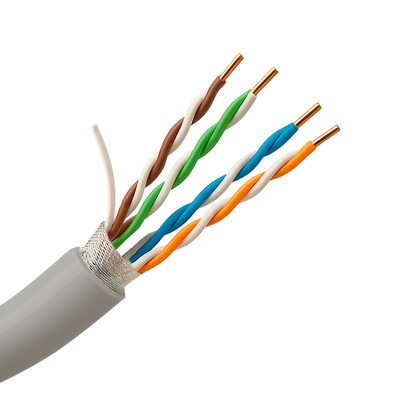 FTP6-305-BC-Eca.png