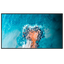Monitor HISENSE DLED 4K 55" | Serie DM - Risoluzione 3840x2160 - 2 ingressi HDMI 2.0 - Utilizzo intenso 24/7 - Altoparlanti integrati - Android 11