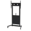 IB-EST009-W-WHEELS.png