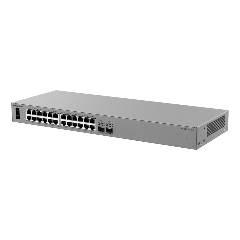 RG-ES224GC2MS.png