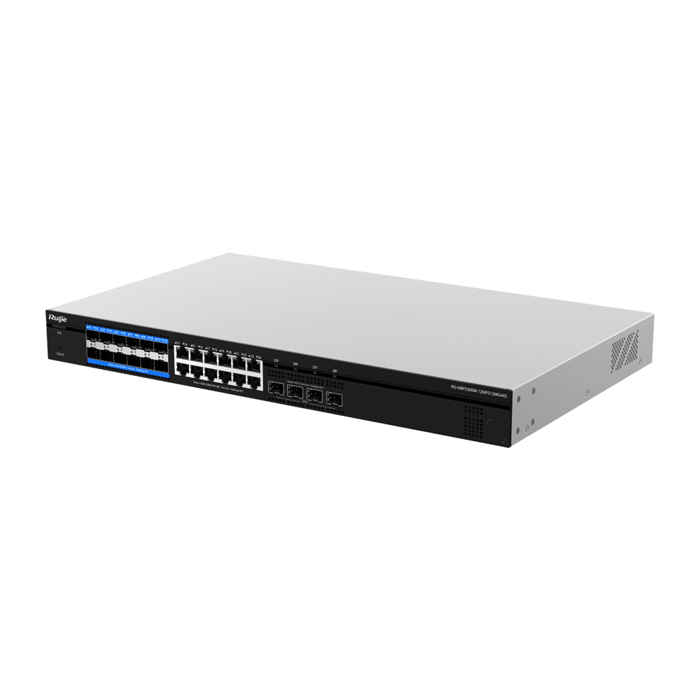 RG-NBF5300M-12MFS12MG4XS.png