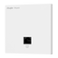 RG-RAP1261.png