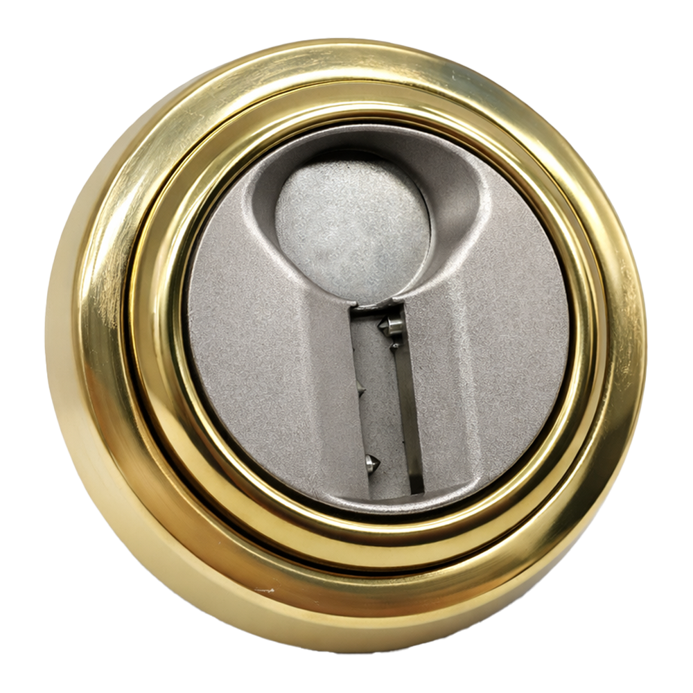 TESA-ESCUTCHEON-MAGNETIC-G.png