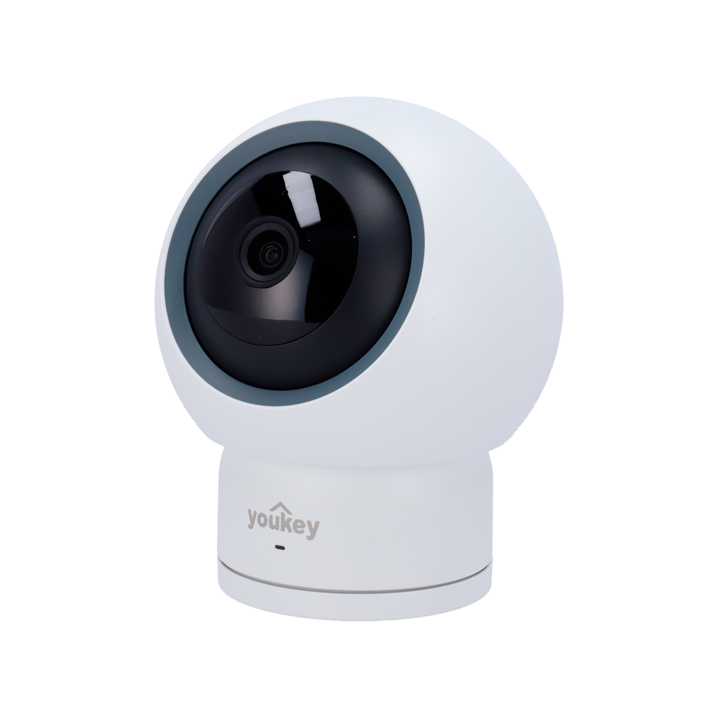 YOK-P310.png