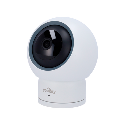 YOK-P310.png