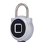 Funda Bluetooth inteligente - Apertura mediante llave y app - Capacidad para 15 llaves - Diámetro de tornillo de 4 mm - Batería incorporada 110 mAh - Apto para interior