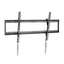 detalle1.png