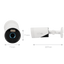 detalle1.png