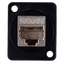 detalle1.png