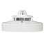 detalle1.png