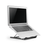 detalle1.png