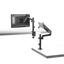 detalle1.png