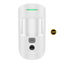 detalle1.png