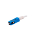 detalle1.png