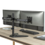 detalle1.png