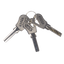 detalle1.png