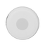detalle1.png