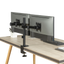 detalle1.png