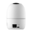 detalle1.png