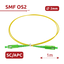detalle1.png