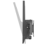 detalle1.png