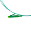 detalle2.png