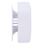 detalle2.png