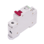 detalle2.png