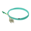 detalle2.png