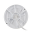 detalle2.png