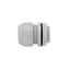 detalle2.png