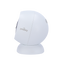 detalle2.png