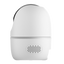 detalle2.png