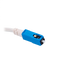 detalle2.png