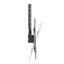 detalle2.png