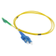 detalle2.png
