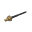 detalle2.png